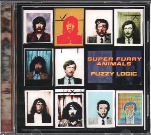 Fuzzy Logic 