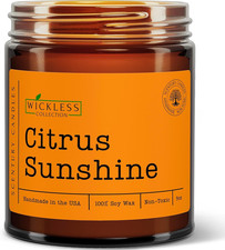 Wickless Candle Jar Citrus Scented Soy Wax Melt for Warmer Lamp Flame Free New