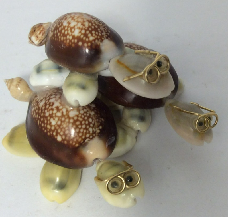 Turtles In Glasses Vintage Seashell Art 