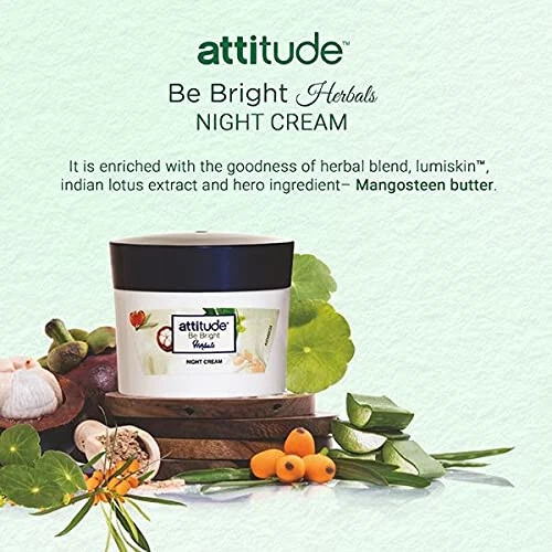 Amway Attitude Be Bright Herbals Day & Night Cream SPF15, 50gm combo - Image 4 of 4