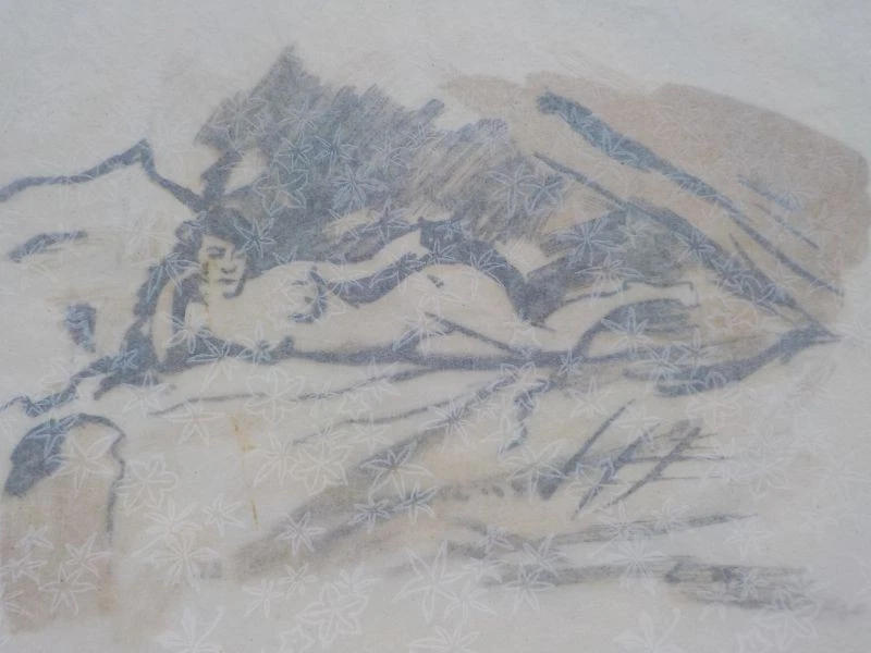 EDOAURD MANET - Olympia mit Katze. Farbholzschnitt. Erotik, Impressionismus - Bild 2 von 4