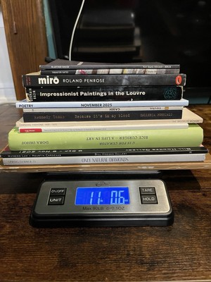 Art Books Lot Architecture Fashion Sculpture Fine Arts Books