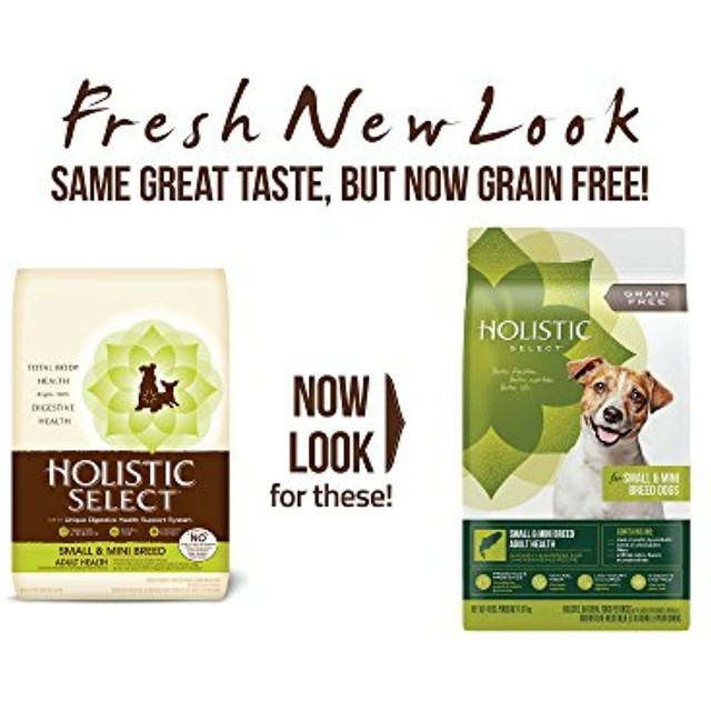 holistic select small breed