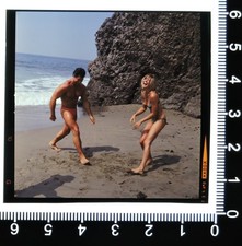 Sharon Tate Reg Lewis original 2.25x2.25 colour transparency candid photo 1967