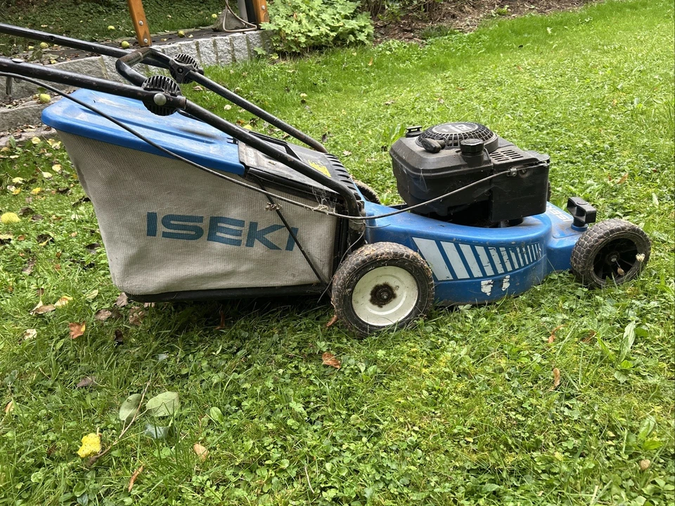 Benzin-Rasenmäher ohne Radantrieb