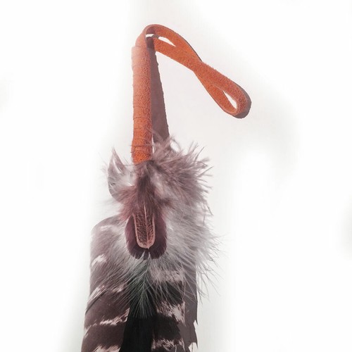 Ref: Marron05 Feather AMERINDIAN HURON 5 Nations Canada Color: Marron - Picture 2 of 3