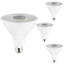Diodesy 4PK PAR38 LED Floodlight Light Bulb Long Spotlight 6500K 15W 100W 1200LM