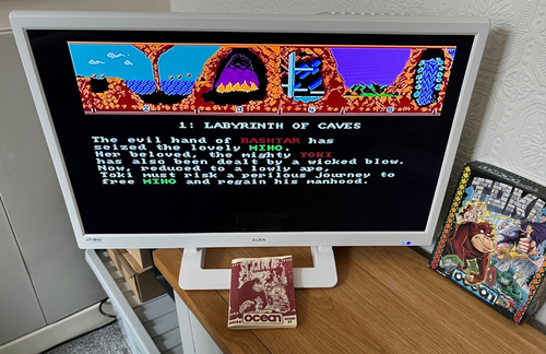 Rare Ocean Version TOKI Amiga Game - Boxed & Working -👽👾Retro Gift Idea👾👽 - Afbeelding 3 van 24