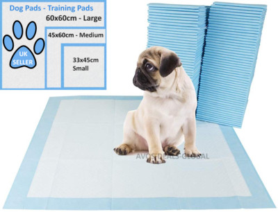 pee pee pad training puppy