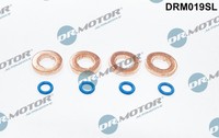 Dr. Motor Automotive DRM019SL Hitzeschild, Einspritzsystem FüR Ford