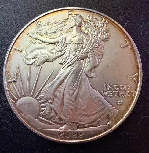 2022 American Silver Eagle 1 Troy Oz .999 Fine Silver