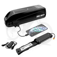 Hailong 48V Lithium Ebike Battery 48V 18Ah Electric Bike Battery 200W-1000W