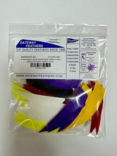 Gateway Feathers 3 Right Wing Shield Variety ...