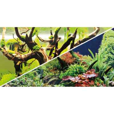 Hobby Fotorückwand Green Secret / Wood Island XXL Rückwand 200x60cm Aquarium