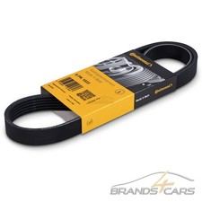 CONTI KEILRIPPENRIEMEN FÜR ALFA 147 AUDI A3 Q2 Q3 MINI SEAT SKODA VW GOLF 8 POLO