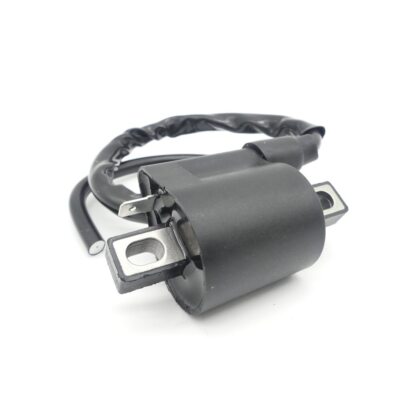 Ignition coil with ignition cable for Yamaha Axis 50
