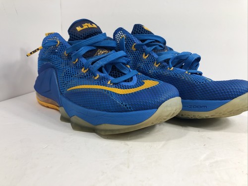 lebron james shoes 12 low