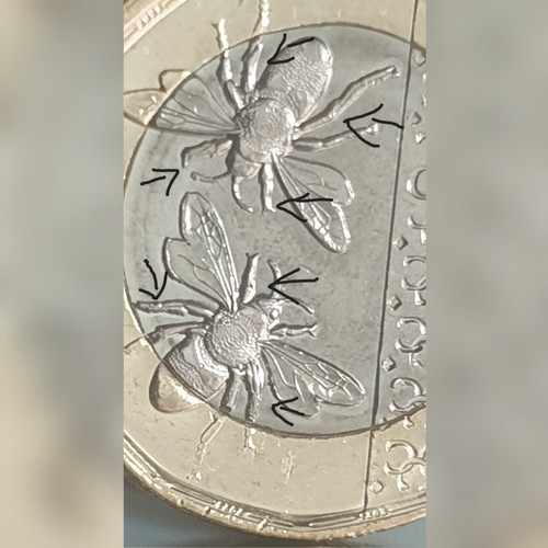 very-rare-2025-one-pound-king-charles-1-coin-bees-error-ebay-uk