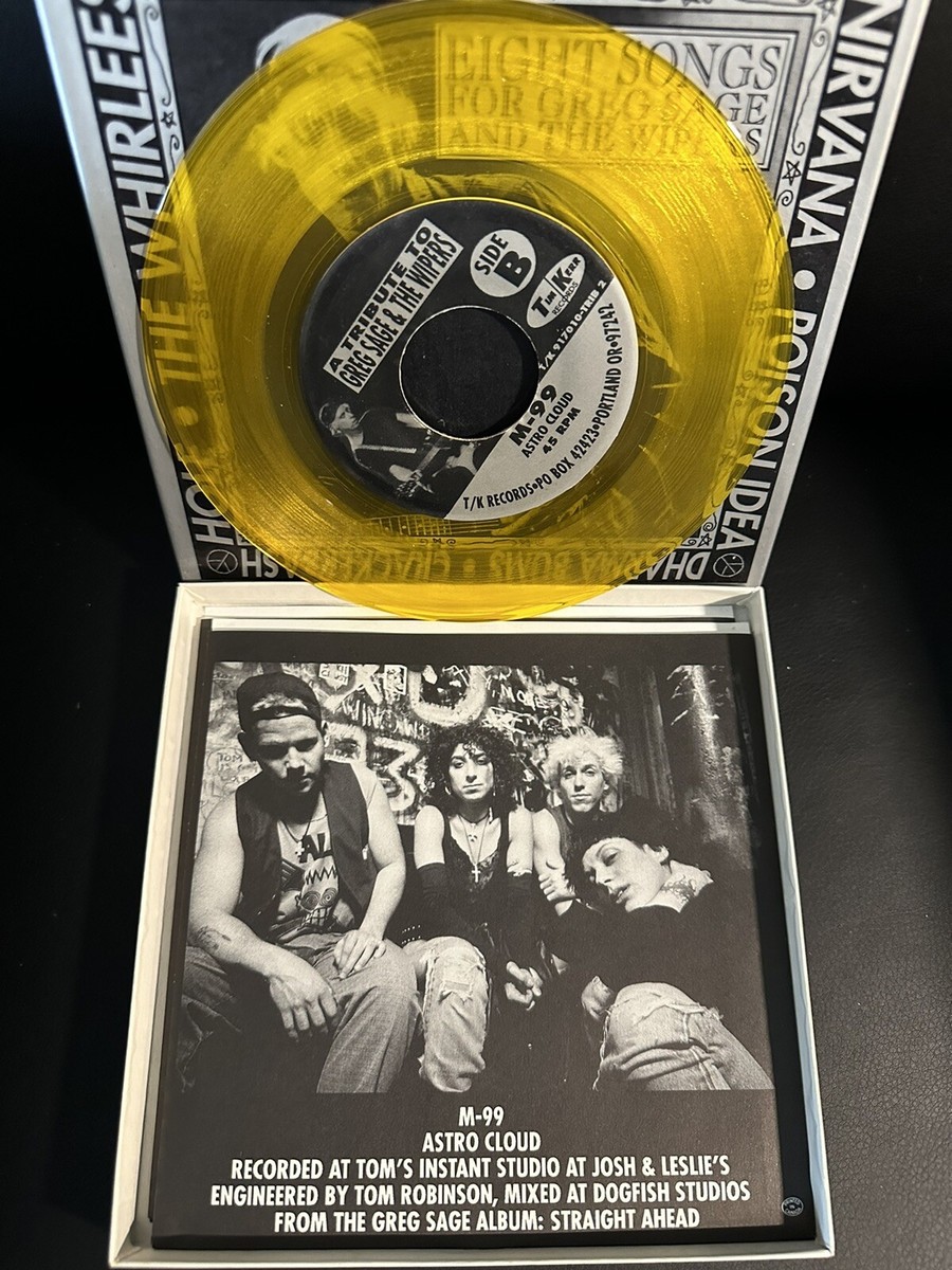 Nirvana/HOLEVARIOUS: eight songs for greg sage and the