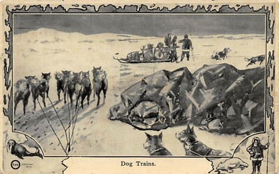 1909 PEARY NORTH POLE EXPEDITION CARD #47: DOG TRAINS