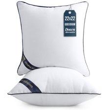 Utopia Bedding Throw Pillow Inserts Pack of 2, White , 22 x 22 Inches Decora...