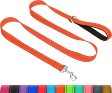 Dog Leash for Medium Large Dogs, Double-Sided Reflective Leash Padded (1"x6")
