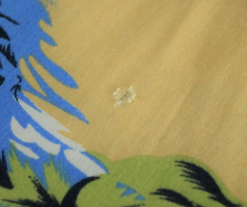 Picture 5 of 11