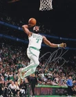 JAYDEN BROWN AUTOGRAPH SIGNED 8X10 PHOTO BOSTON CELTICS