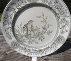 Picture 12 of 21