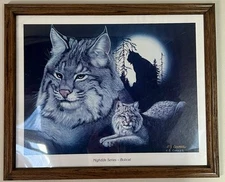 Bobcat Print Nightlife Series By  C.J. CONNER Special Publishers Edition 