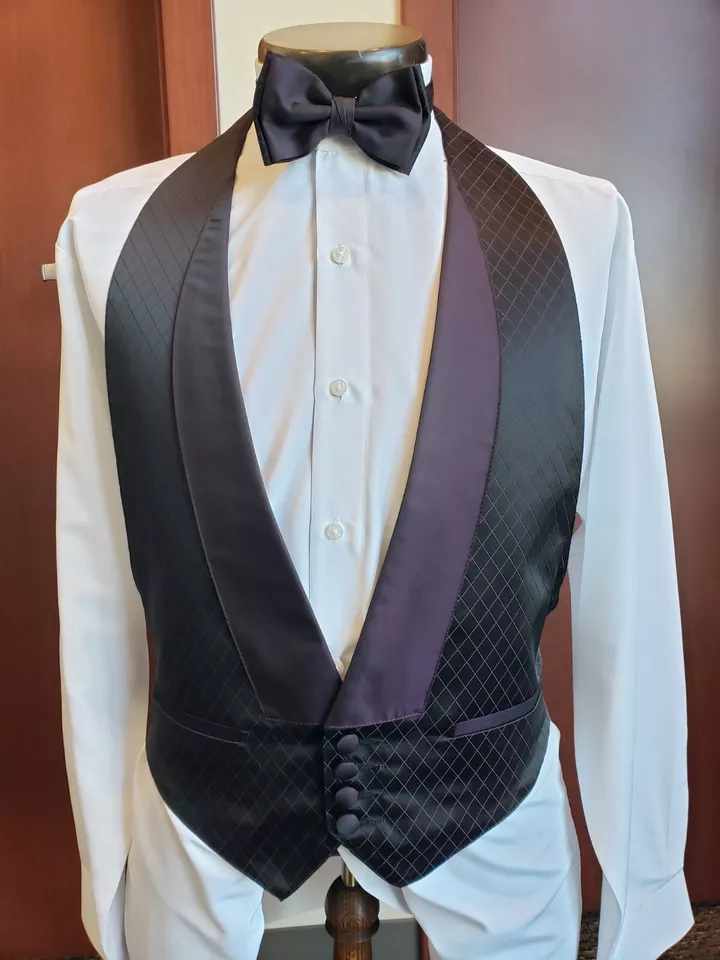 Tridescent Formal Vest - Excellent used condition - TRI - Image 2 of 4