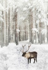 Hoffman Call of the Wild Digital R4562 15 Powder Reindeer 3/4 yd Panel Cotton
