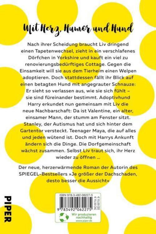 Thumbnail - Lieber Mit Dem Kopf Durch Die Wand Als Gar Kein Durchblick - ...