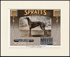 DEERHOUND NAMED DOG ON ADVERT