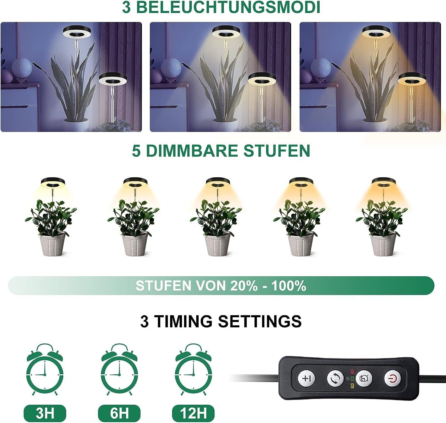 Bild 3 von 12