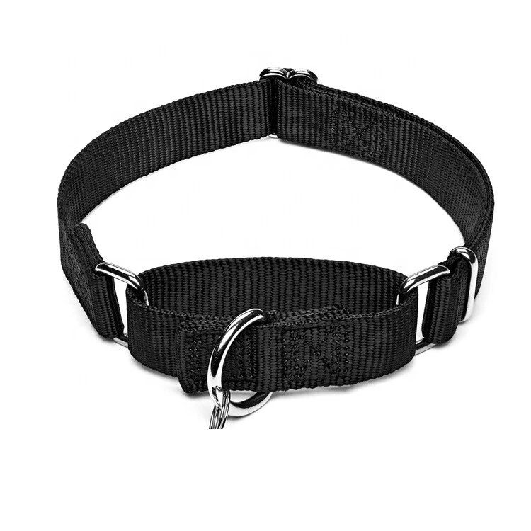 Collar Martingala Perro Grande Premium ~ Sin Estrangulamiento ~ S M L Nylon Sin Hebilla Entrenamiento Foto 2 de 4