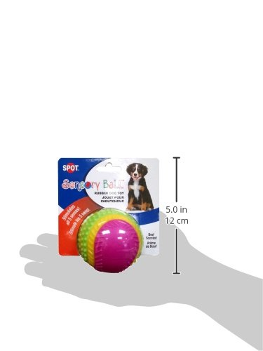 dog sensory ball