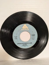 45 ~Silver: "Right On Time / Wham Bam Shang A Lang" 1976 Arista (VG)