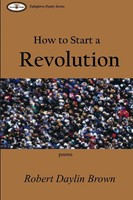 How To Start A Revolution Robert Daylin Brown Taschenbuch Englisch 2006 [.]