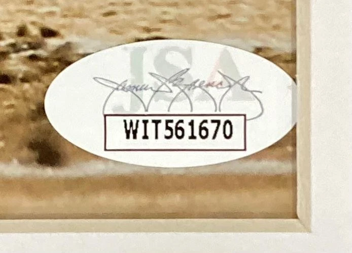 Foto emoldurada assinada por Miguel Cabrera 16x20 Detroit Tigers Spotlight JSA - Imagem 2 de 3