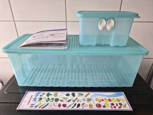 2 Tupperware Prima Klima Behälter 4,6 l u. 350 ml Türkis / transparent TOP!!