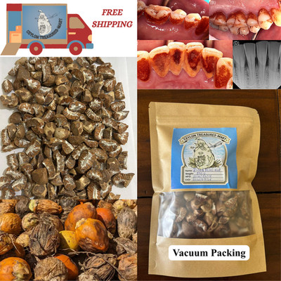 1000Pcs Sun Dried Ceylon Areca Nut |Organic Betel Nut / Supari Catechu |Bulk Lot