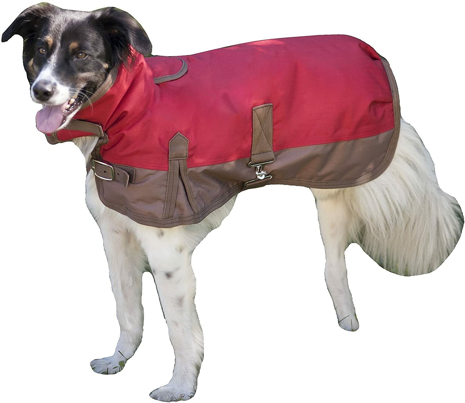 Fashion Pet Outdoor Dog Horse Blanket Style Waterproof Dog Coat, Large 19" 24" eBay