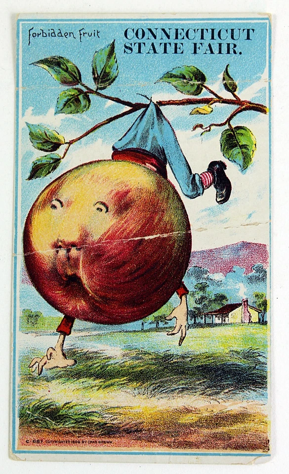 Cartão comercial 1891 CONNECTICUT STATE FAIR and RACES Meriden CT colorido litografado - Imagem 2 de 3