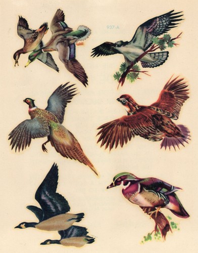Vintage Meyercord Decal 973-A birds - Picture 3 of 3