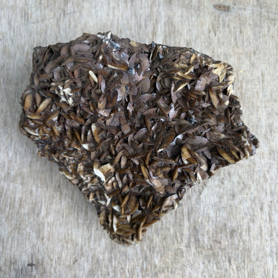 Siderite an iron carbonate mineral often found in iron sedimentary environments 