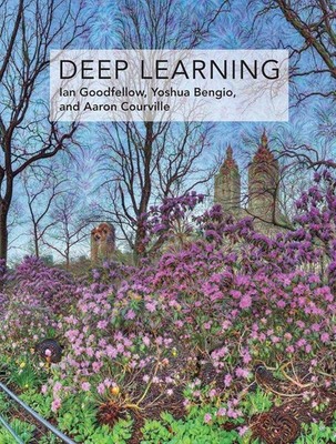 Deep Learning Hardcover Q307 c116