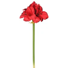 Vickerman FA173201 Single Amaryllis Floral Stem Red - 3 Per Bag