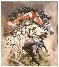 8lb Heavyweight Soft Queen Blanket, Officially Licensed, Racing Horses Beautiful