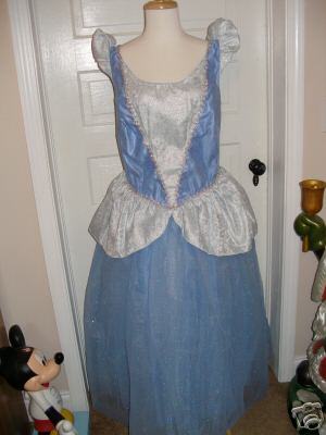 DISNEY ADULT CINDERELLA COSTUME SIZE 